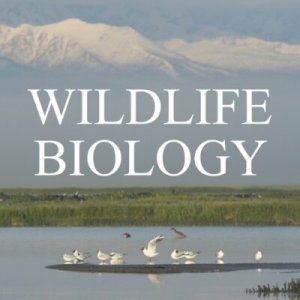 Podcast sur la perception des pratiquants de loisirs de nature de leur impact sur la faune